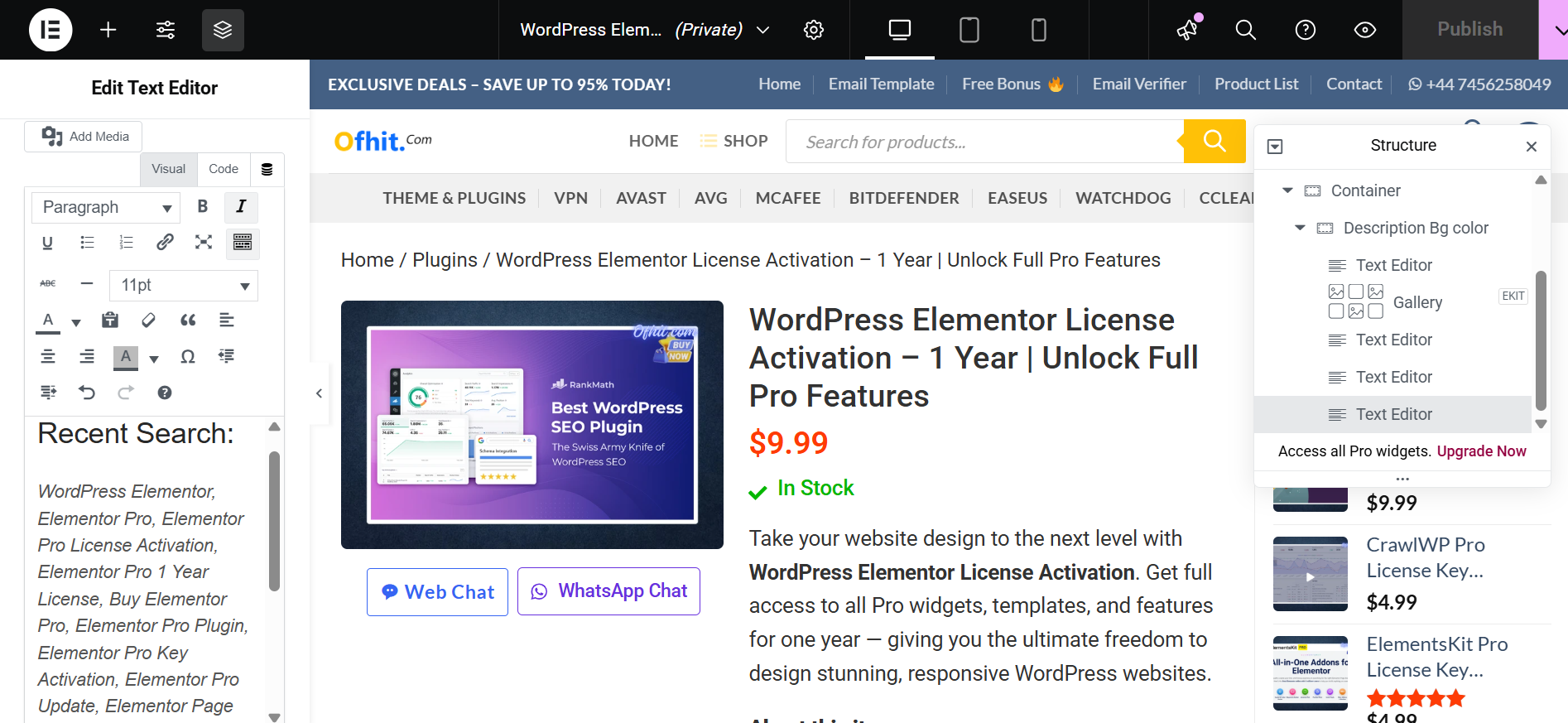 WordPress Elementor pro