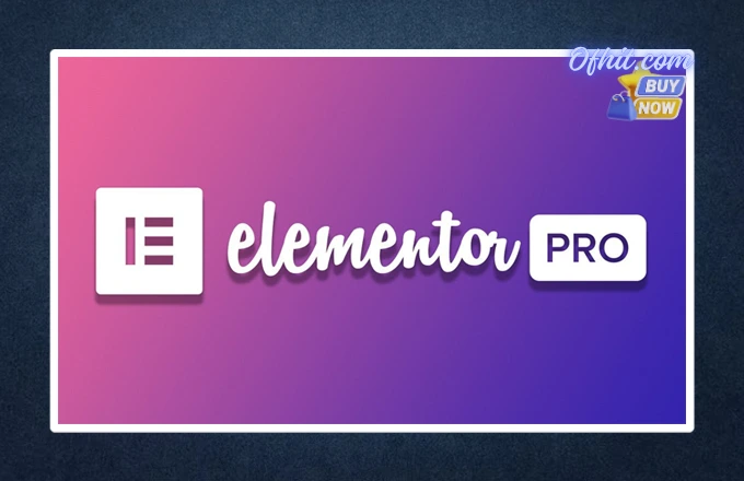 WordPress Elementor License Activation