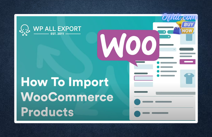 Wp All Import And Export Pro Plugin - Lifetime Update