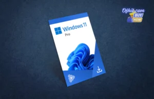 Microsoft Windows 11 Pro License Key