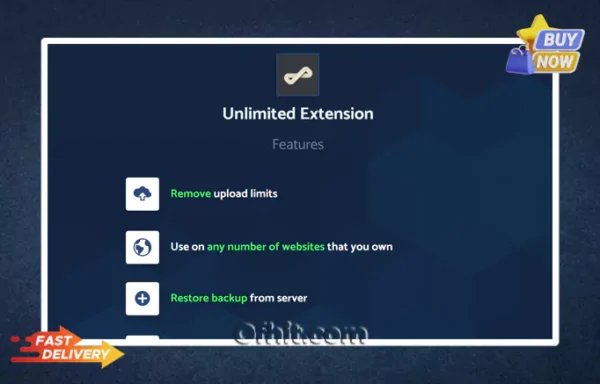 All-in-One WP Migration Unlimited Extension – Original License Activation