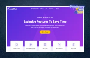 Elementor Pro License Activation