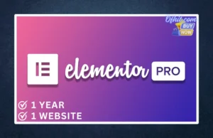 Elementor Pro License Activation