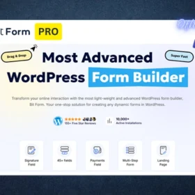 Bit Form Pro License Key Activation - Lifetime Update