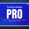 Premium Addons Pro License Key Activation