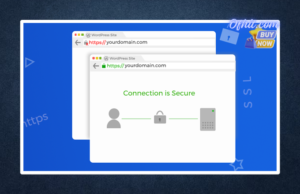 WP Encryption – One Click SSL Certificate & SSL Pro Plugin Lifetime