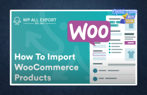 Wp All Import And Export Pro Plugin - Lifetime Update